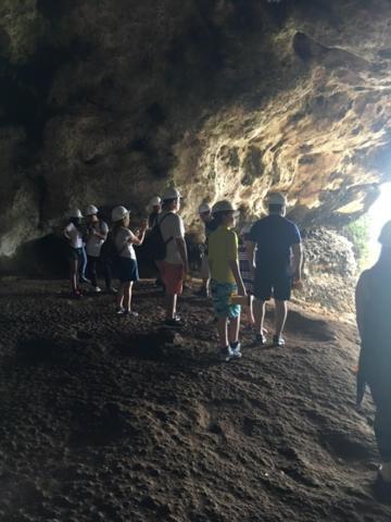 Casa De Campo Rio Arriba Arecibo Eksteriør bilde